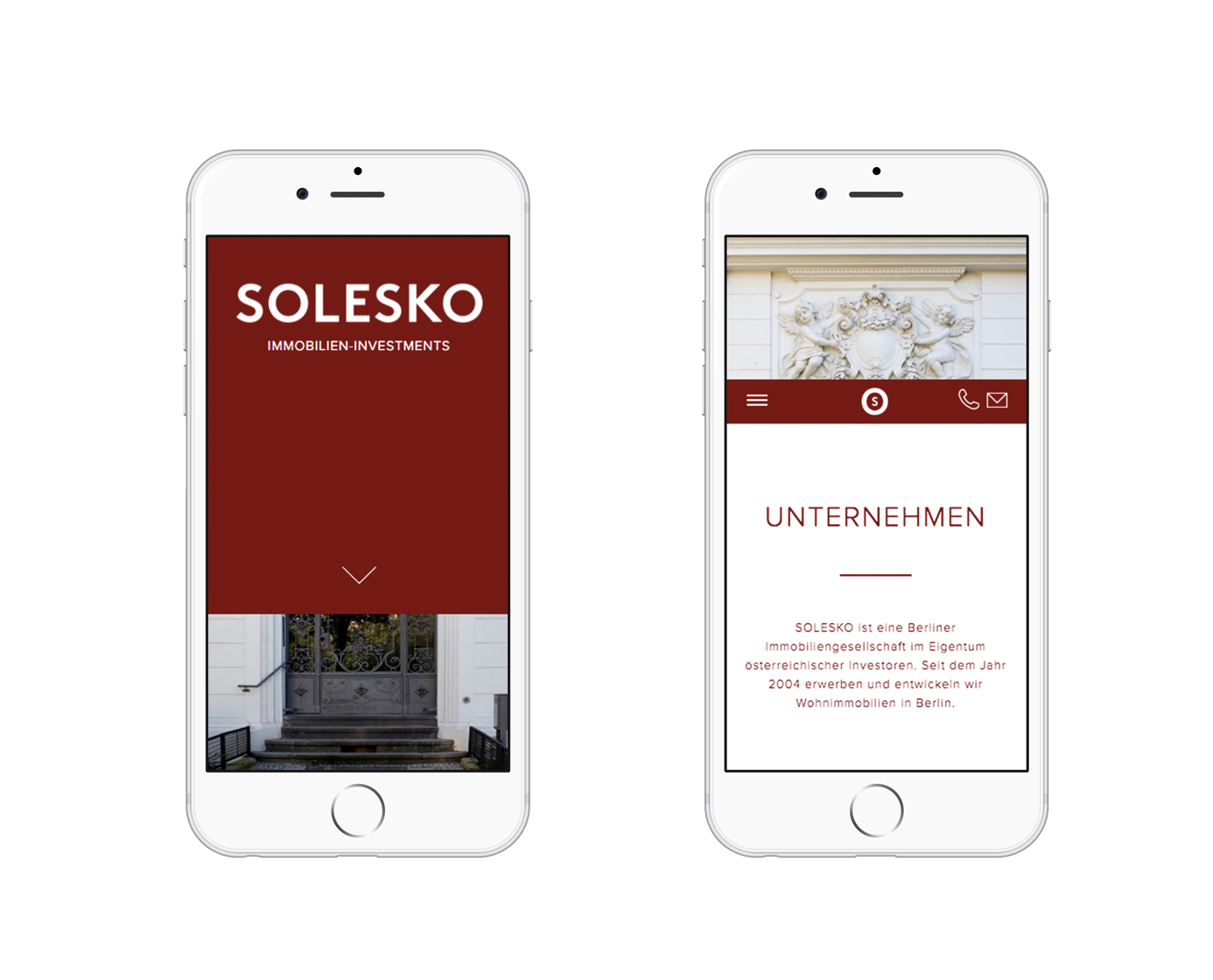 Screenshot of Solesko project